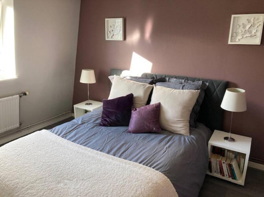 Agreable Et Spacieuse Maison Centre Ville Saint-Omer Luaran gambar